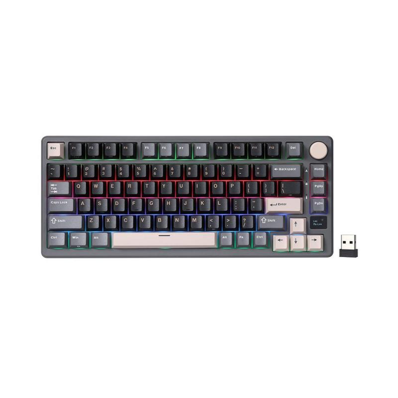 ROYAL KLUDGE M75 Phantom, Brown Switch, RGB LED, Hot-Swap, RU Layout