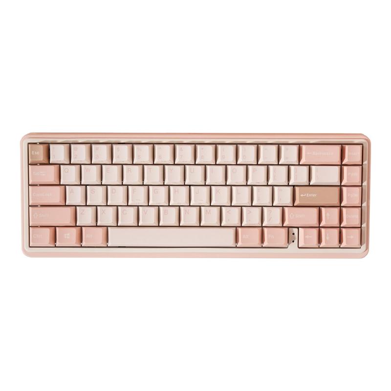 Varmilo VXB67 G.Mendozae Varmilo EC V2 Iris Switch